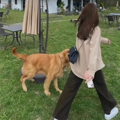 我的小小世界